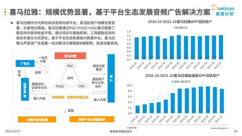 互联网广告营销 数字化时代的企业必备技能与销售引擎